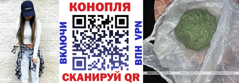 Бошки марихуана семена  купить наркотик  Азов 